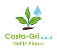Costa-Gri Noble Plante
